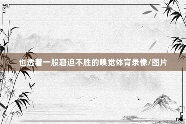 也透着一股窘迫不胜的嗅觉体育录像/图片