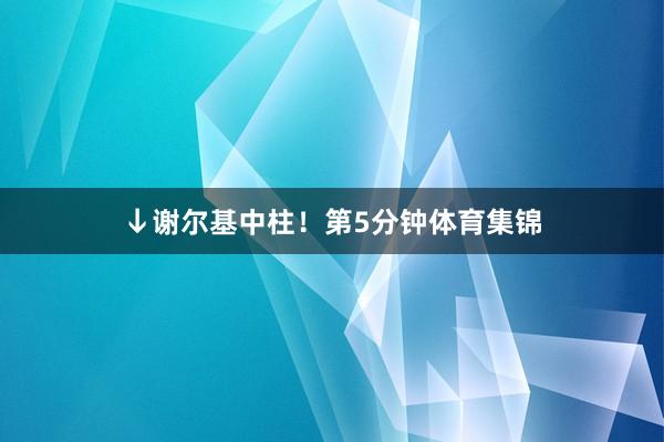↓谢尔基中柱！第5分钟体育集锦