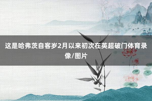 这是哈弗茨自客岁2月以来初次在英超破门体育录像/图片