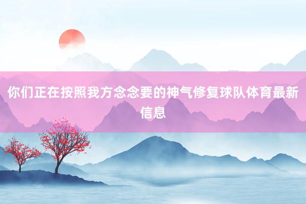 你们正在按照我方念念要的神气修复球队体育最新信息