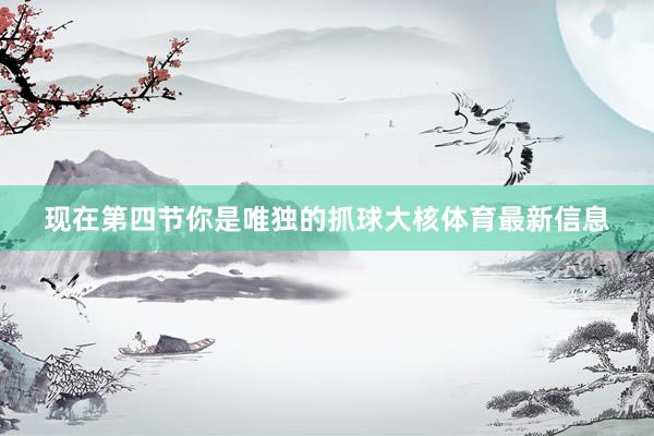 现在第四节你是唯独的抓球大核体育最新信息