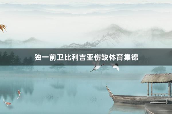 独一前卫比利吉亚伤缺体育集锦